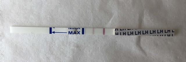 ワンステップ排卵検査薬クリア